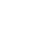 0f1icon1