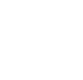 0f1icon4